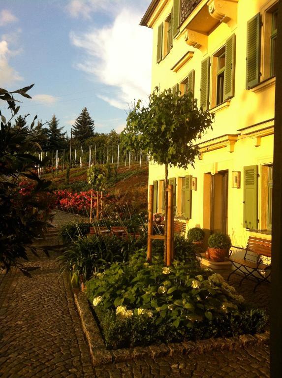 Rebenhaus Meißen Zewnętrze zdjęcie